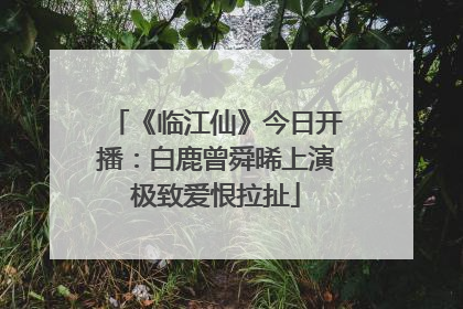 《临江仙》今日开播：白鹿曾舜晞上演极致爱恨拉扯