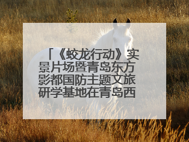 《蛟龙行动》实景片场暨青岛东方影都国防主题文旅研学基地在青岛西海岸新区开业