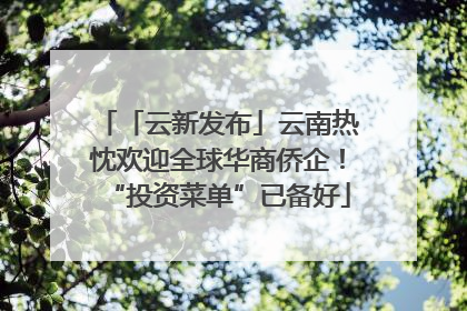 「云新发布」云南热忱欢迎全球华商侨企！“投资菜单”已备好