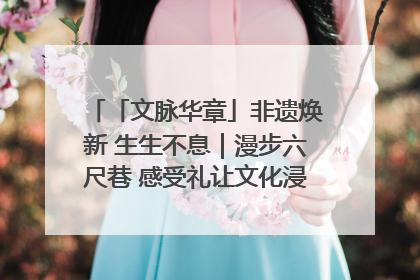 「文脉华章」非遗焕新 生生不息｜漫步六尺巷 感受礼让文化浸润的“巷”往生活