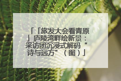 「旅发大会看青原」庐陵湾畔绘新景：采访团沉浸式解码“诗与远方”（图）