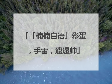 「楠楠自语」彩蛋，手雷，邋遢帅