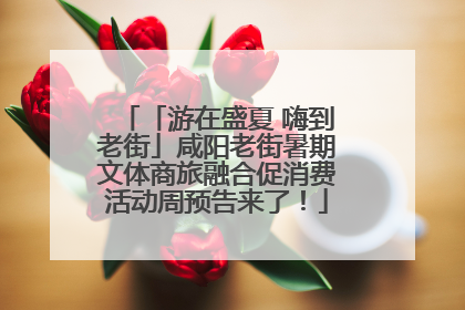 「游在盛夏 嗨到老街」咸阳老街暑期文体商旅融合促消费活动周预告来了！
