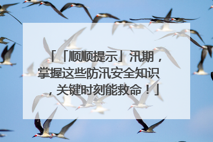 「顺顺提示」汛期，掌握这些防汛安全知识，关键时刻能救命！