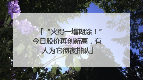“火得一塌糊涂！”今日股价再创新高，有人为它彻夜排队