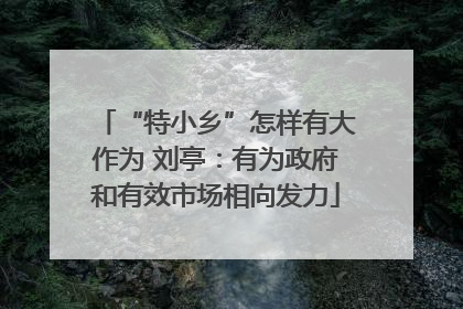 “特小乡”怎样有大作为 刘亭：有为政府和有效市场相向发力