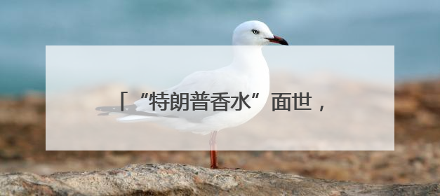 “特朗普香水”面世，每瓶售价249美元