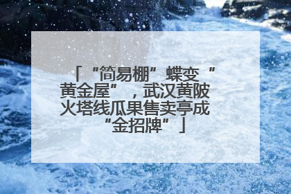 “简易棚”蝶变“黄金屋”，武汉黄陂火塔线瓜果售卖亭成“金招牌”