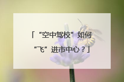 “空中驾校”如何“飞”进市中心？