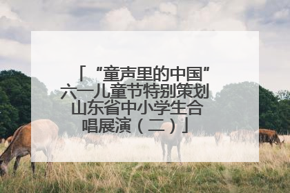 “童声里的中国”六一儿童节特别策划 山东省中小学生合唱展演（二）