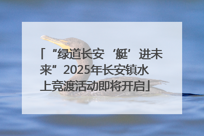 “绿道长安‘艇’进未来”2025年长安镇水上竞渡活动即将开启