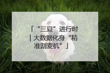 “三夏”进行时｜大数据化身“精准割麦机”