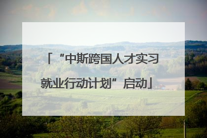 “中斯跨国人才实习就业行动计划”启动