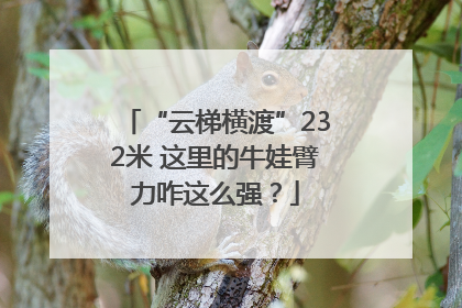 “云梯横渡”232米 这里的牛娃臂力咋这么强？