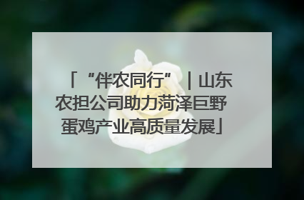 “伴农同行”｜山东农担公司助力菏泽巨野蛋鸡产业高质量发展