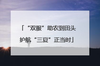 “双服”助农到田头 护航“三夏”正当时