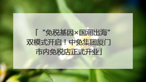 “免税基因×国潮出海”双模式开启！中免集团厦门市内免税店正式开业
