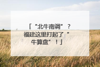 “北牛南调”？福建这里打起了“牛算盘”！