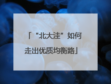 “北大洼”如何走出优质均衡路