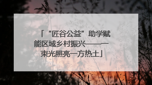“匠谷公益”助学赋能区域乡村振兴——一束光照亮一方热土