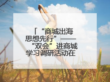 “商城出海 思想先行”——“双会”进商城学习调研活动在临沂顺利开展