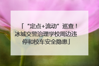 “定点+流动”巡查！冰城交警治理学校周边违停和校车安全隐患