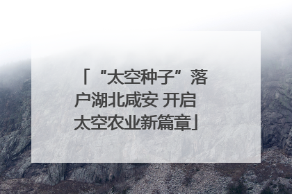 “太空种子”落户湖北咸安 开启太空农业新篇章