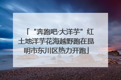 “奔跑吧·大洋芋”红土地洋芋花海越野跑在昆明市东川区热力开跑