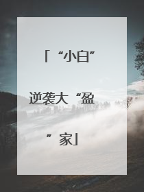 “小白”逆袭大“盈”家
