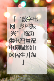 “数字电网+乡村振兴” 临汾供电智慧配电网赋能山区民生升级