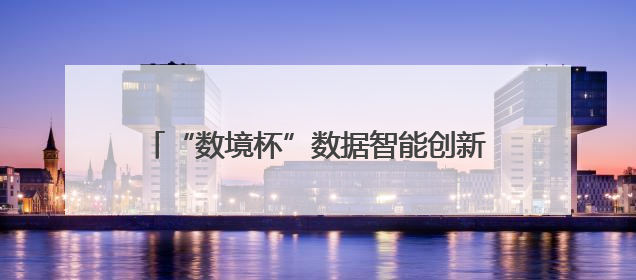 “数境杯”数据智能创新应用大赛·工业数字孪生 专业赛（第四届）全国总决赛及颁奖典礼成功举办