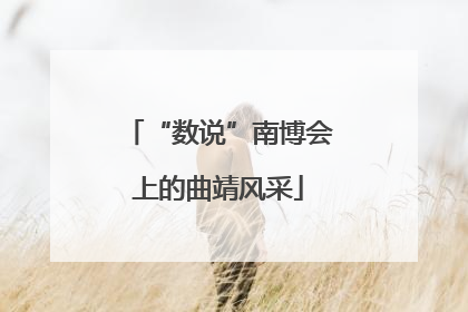 “数说”南博会上的曲靖风采
