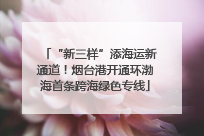 “新三样”添海运新通道！烟台港开通环渤海首条跨海绿色专线