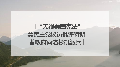 “无视美国宪法” 美民主党议员批评特朗普政府向洛杉矶派兵
