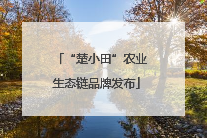 “楚小田”农业生态链品牌发布