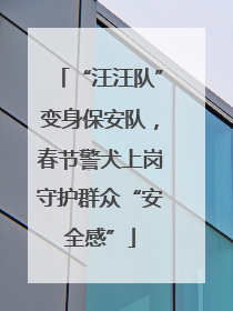 “汪汪队”变身保安队，春节警犬上岗守护群众“安全感”