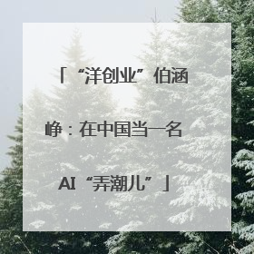 “洋创业”伯涵峥：在中国当一名AI“弄潮儿”