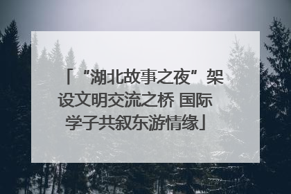 “湖北故事之夜”架设文明交流之桥 国际学子共叙东游情缘