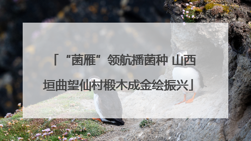 “菌雁”领航播菌种 山西垣曲望仙村椴木成金绘振兴