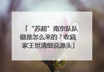 “苏超”南京队队徽是怎么来的？收藏家王世清细说源头