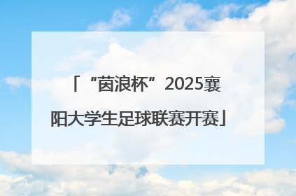 “茵浪杯”2025襄阳大学生足球联赛开赛