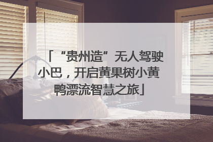 “贵州造”无人驾驶小巴，开启黄果树小黄鸭漂流智慧之旅