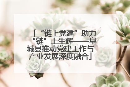 “链上党建”助力“链”上生辉——阜城县推动党建工作与产业发展深度融合