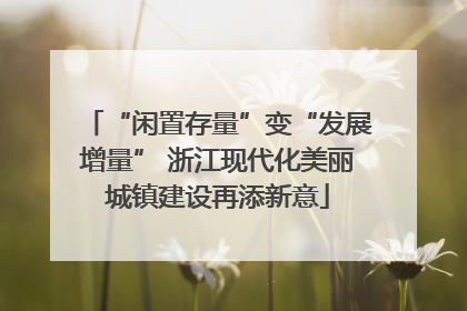 “闲置存量”变“发展增量” 浙江现代化美丽城镇建设再添新意