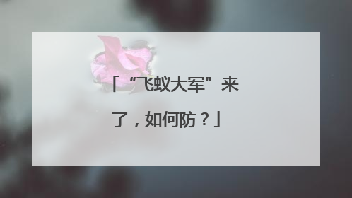 “飞蚁大军”来了，如何防？