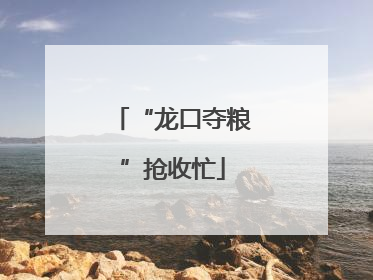 “龙口夺粮”抢收忙