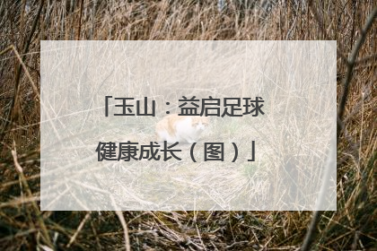玉山：益启足球 健康成长（图）