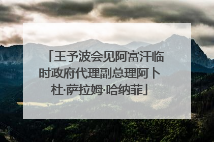 王予波会见阿富汗临时政府代理副总理阿卜杜·萨拉姆·哈纳菲