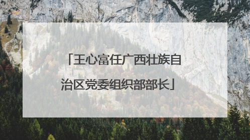 王心富任广西壮族自治区党委组织部部长