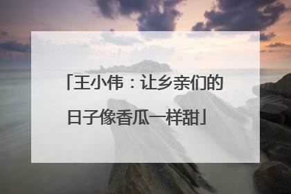 王小伟：让乡亲们的日子像香瓜一样甜
